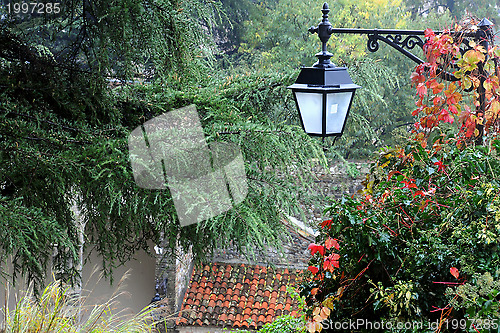 Image of Streetlight in the Park