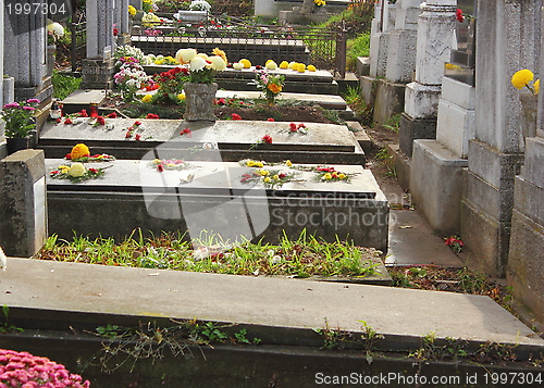 Image of graves with flowers