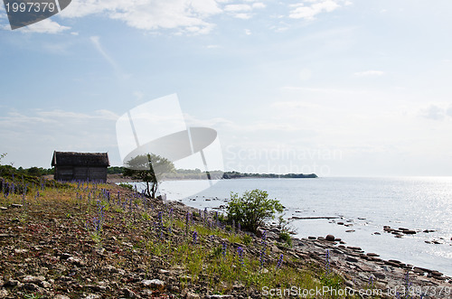 Image of Cabin at coast