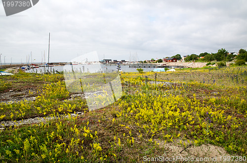 Image of Small harbour