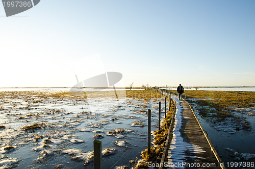 Image of Footpath in winter