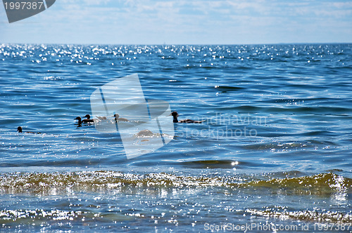 Image of Glittering water