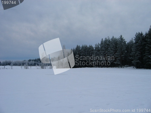 Image of winter landscape