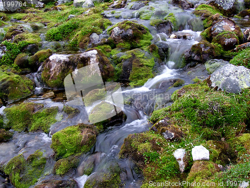 Image of Small mountain stream flowing