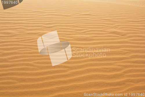 Image of Red sand dune 