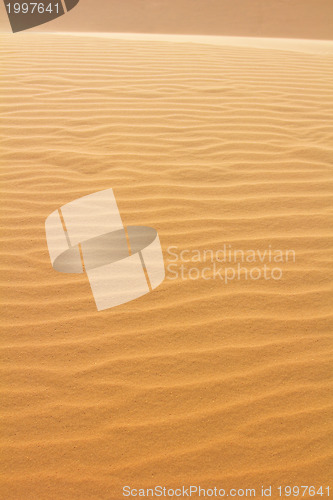 Image of Red sand dune 