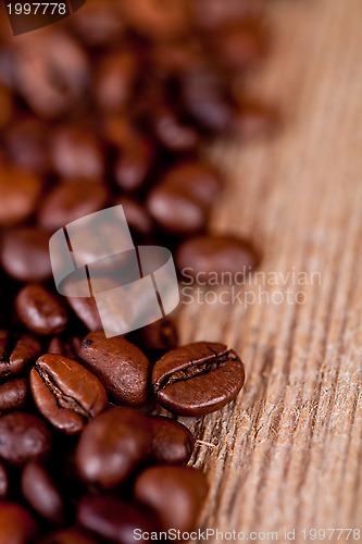 Image of fresh coffee beans 