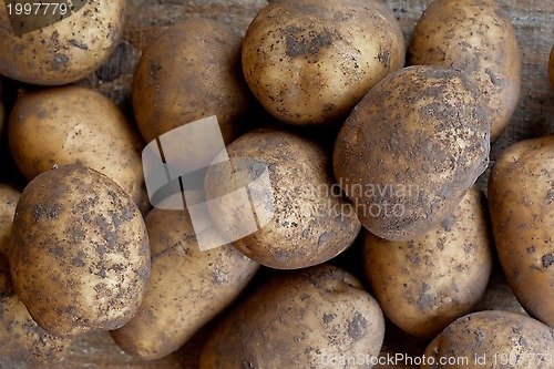 Image of organic potatoes