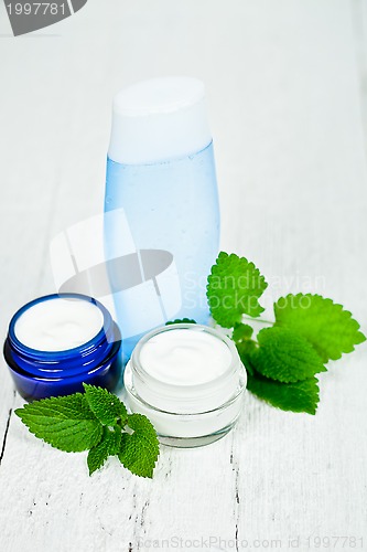 Image of face cream and lotion with urtica leaves