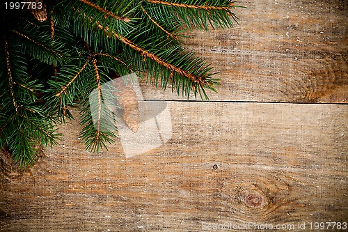 Image of christmas fir tree with pinecones 