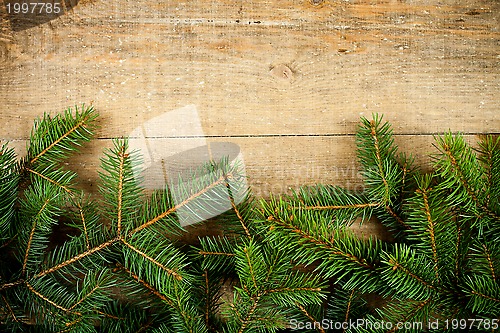 Image of christmas fir tree 