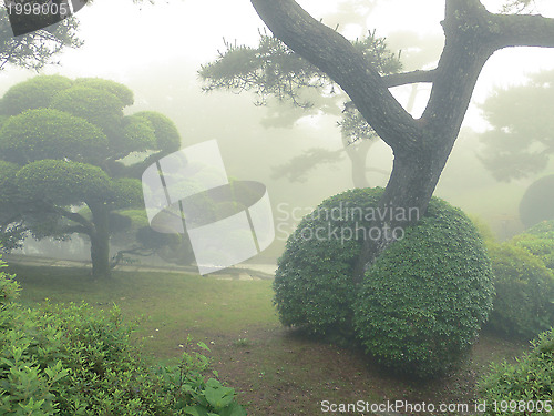 Image of Japanese park by summer