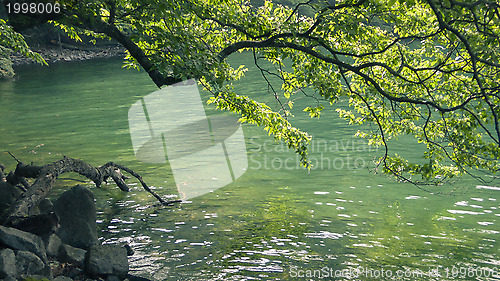 Image of summer lake waters
