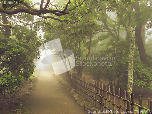 Image of misty pathway