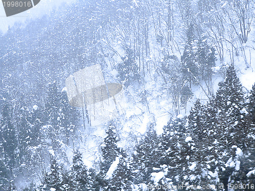 Image of snowfall in mountains