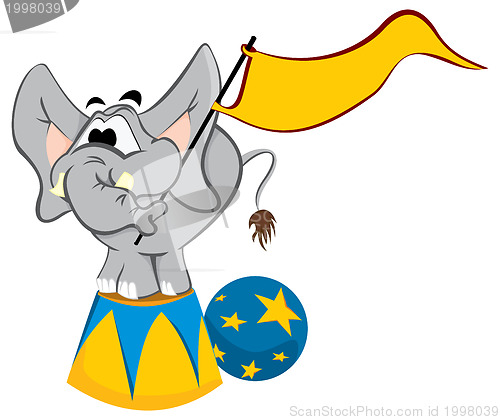 Image of Trained elephant 