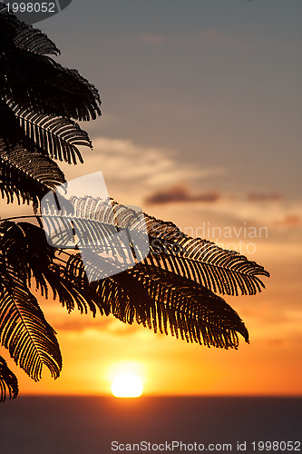 Image of Dickenson Bay, Antigua