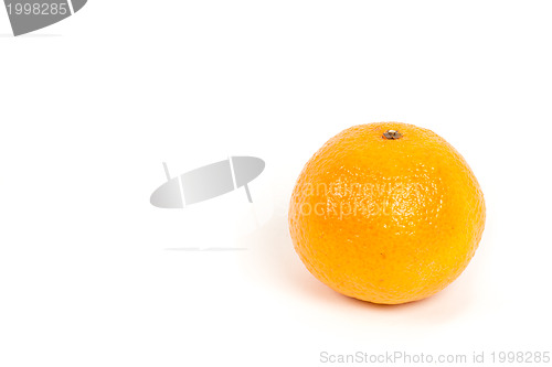 Image of Mandarin on white