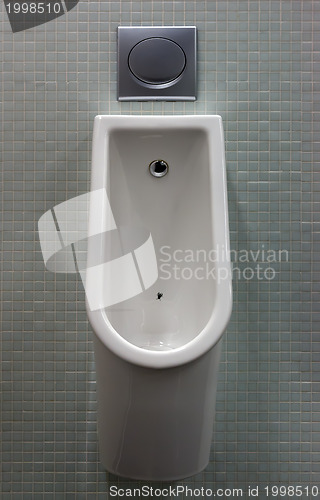 Image of urinal with white painted a fly on the toilet