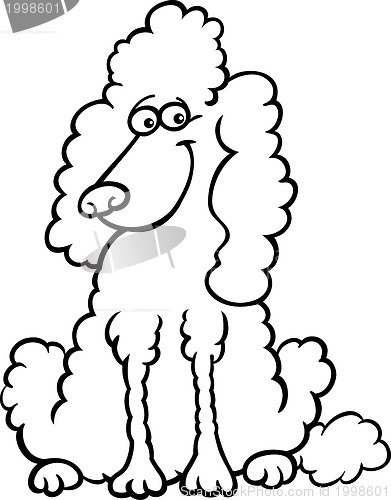 Image of poodle dog cartoon for coloring book