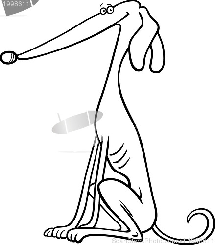 Image of greyhound dog cartoon for coloring book