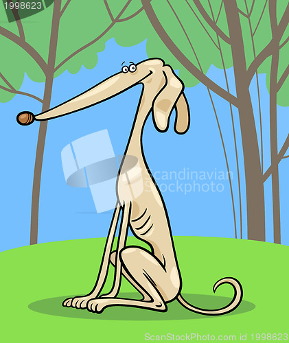 Image of greyhound dog cartoon illustration