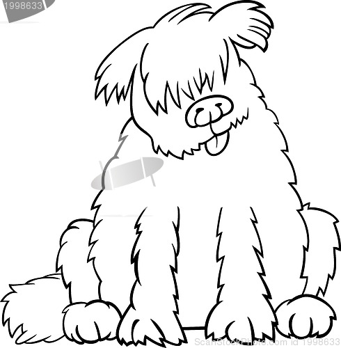 Image of newfoundland dog cartoon for coloring book