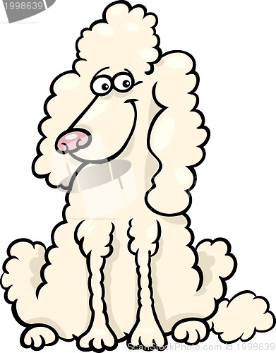 Image of poodle dog cartoon illustration