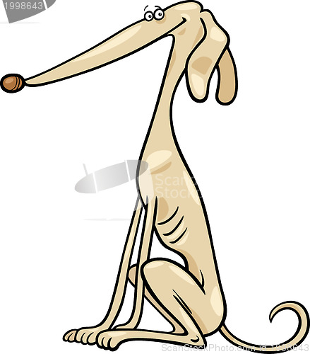 Image of greyhound dog cartoon illustration