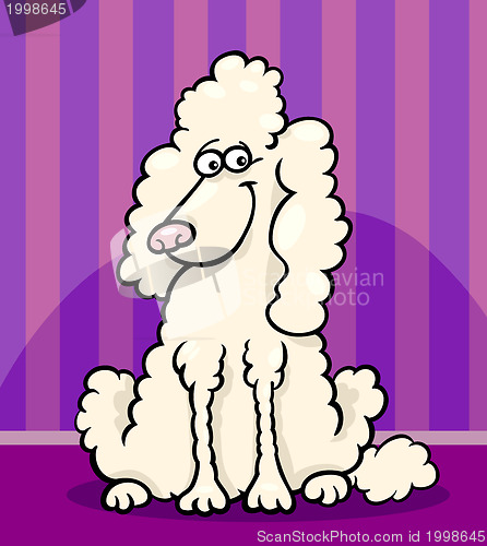 Image of poodle dog cartoon illustration