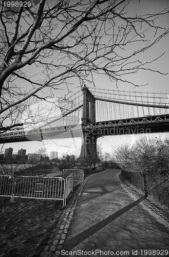 Image of Manhattan Bridge Detail with Tree, New York City