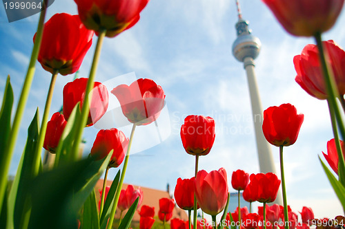 Image of TV Tower, Berlin