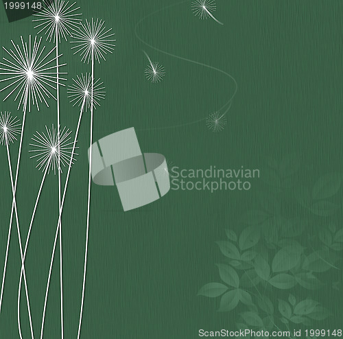 Image of Dandelions