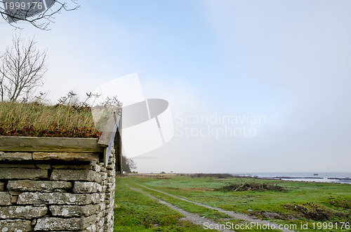 Image of Grass roof