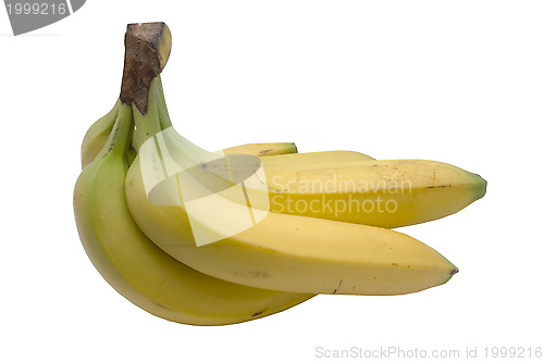 Image of Fresh bananas 