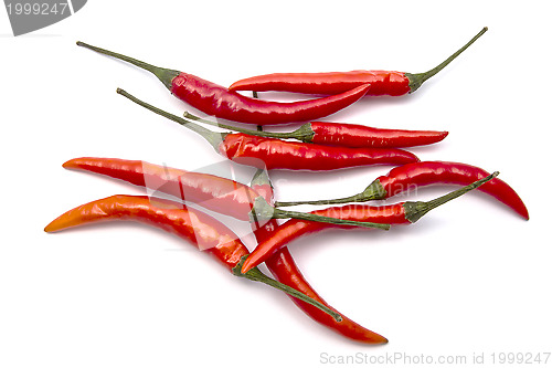 Image of Fresh red chilli