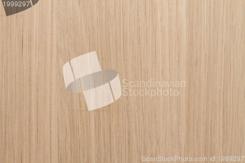 Image of wood texture