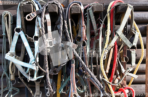 Image of Details of diversity used horse reins