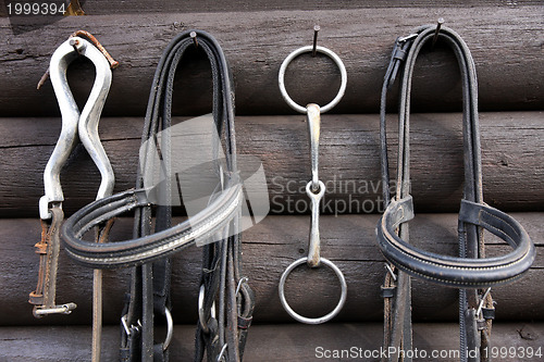 Image of Details of diversity used horse reins