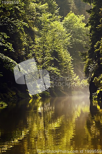 Image of Kamenice River
