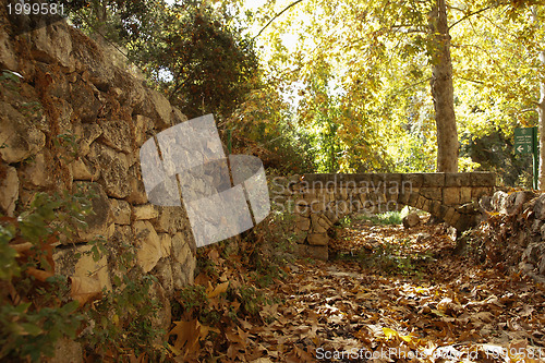 Image of Autumn near jerusalem