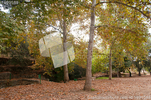 Image of Autumn near jerusalem