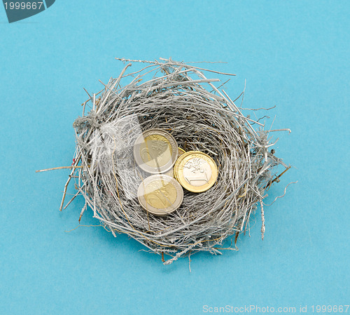Image of silver bird nest and euro coins money on blue 