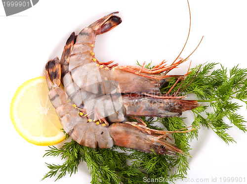 Image of Plate with Tiger Prawns