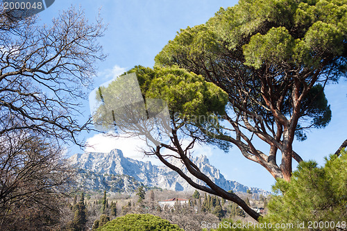 Image of Landscape with Mountains and Trees