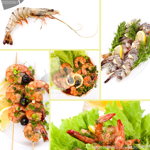 Image of Tiger Prawns