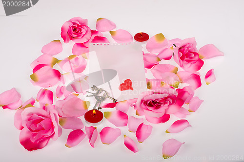 Image of Valentine petals