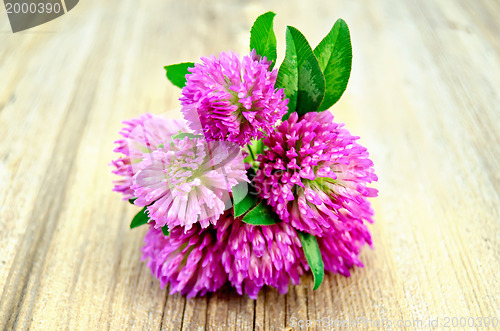 Image of Clover bouquet on the old board