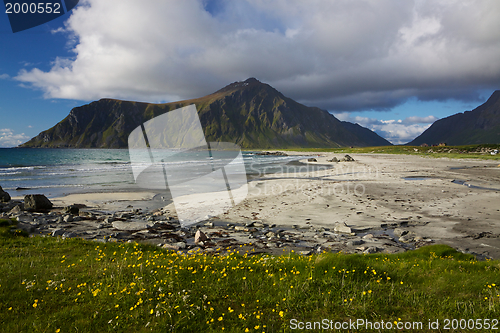 Image of Beach on Lofoten