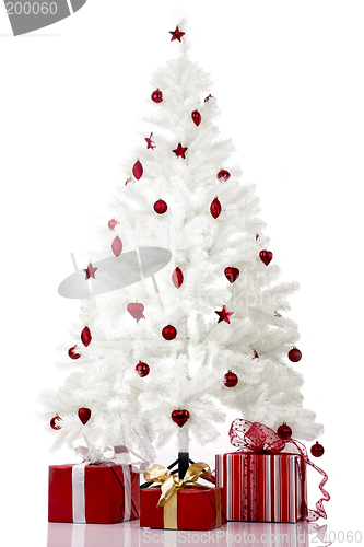 Image of Christmas Tree